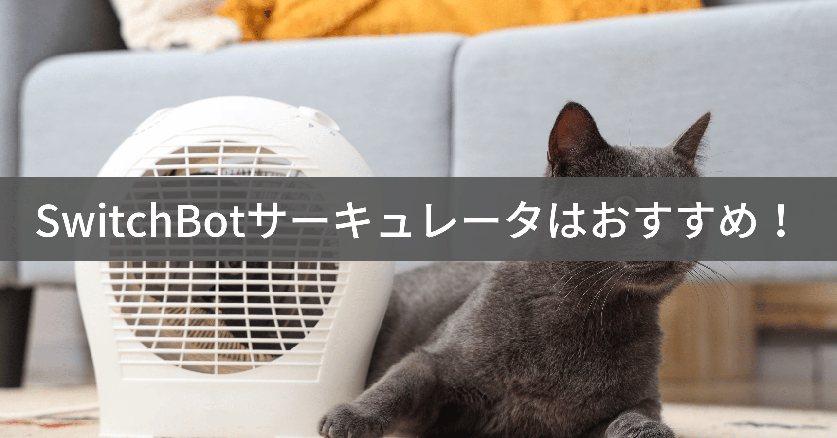 SwitchBotサーキュレーターの実力まとめ