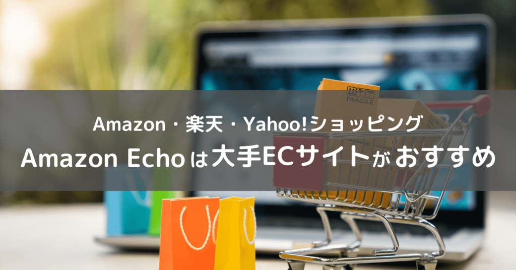 大手ECサイトでのAmazon Echo購入イメージ